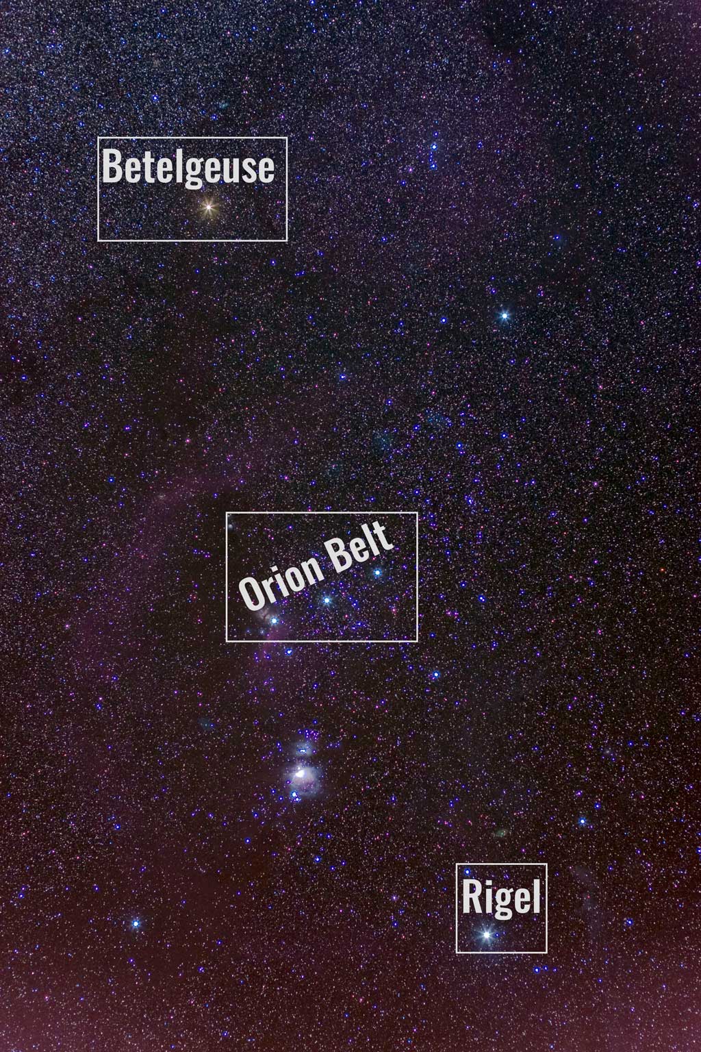 The constellation Orion. Deep sky objects visible in this image include the Orion Belt Stars, Betelgeuse, and Rigel.