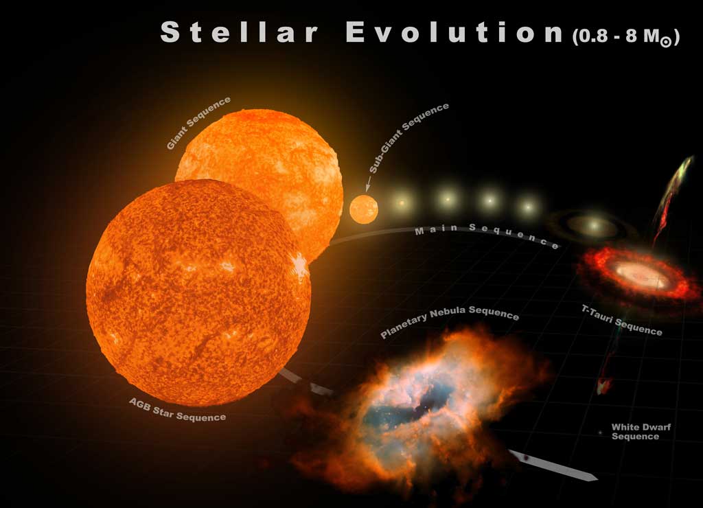 The typical stellar evolution sequence and relative sizes for stars from 0.8 to 8 solar masses is shown.