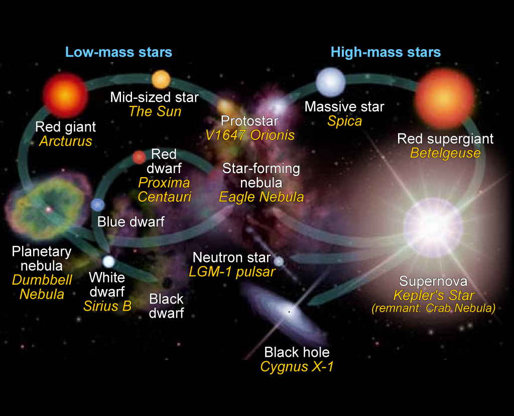 Stellar evolution of low-mass (left cycle) and high-mass (right cycle) stars.