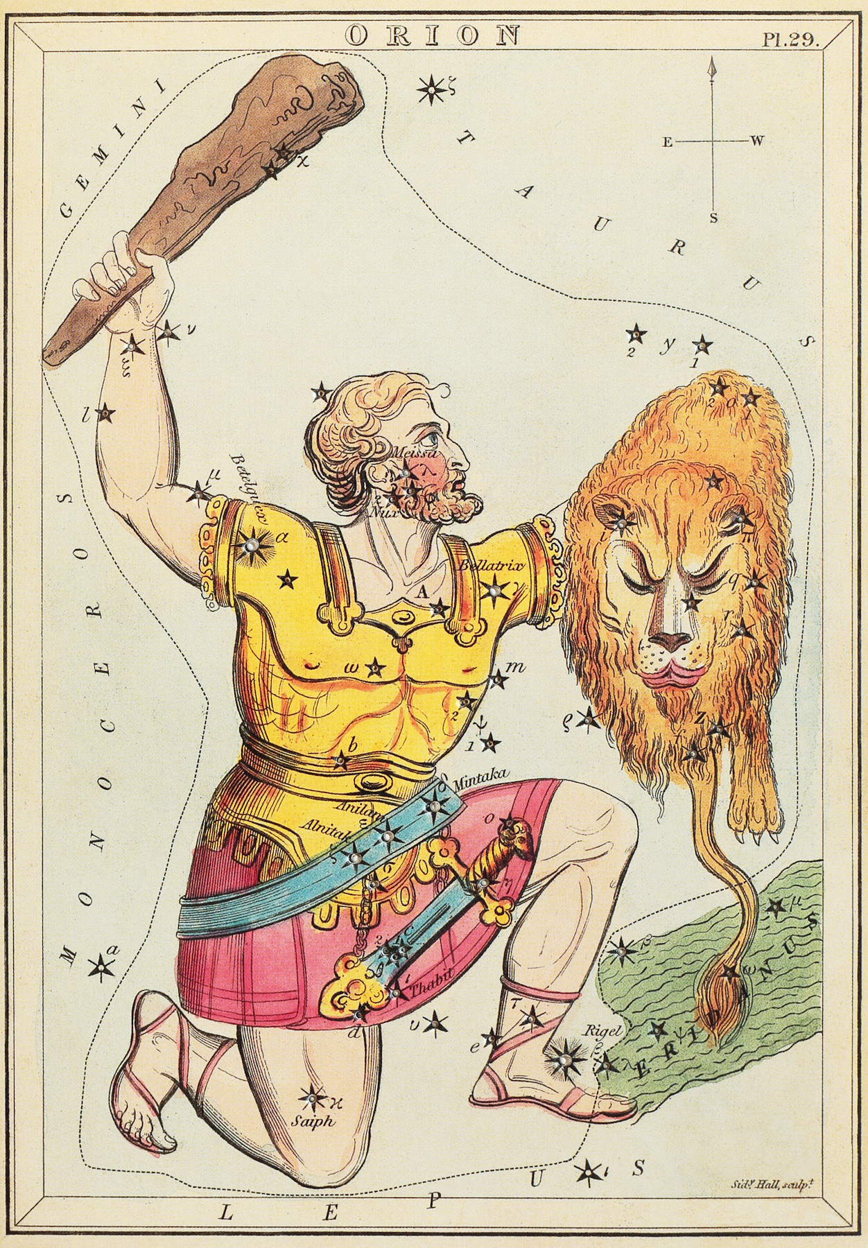 Orion the Hunter, as depicted in Urania’s Mirror is shown as holding a lion’s head over a map of stars.