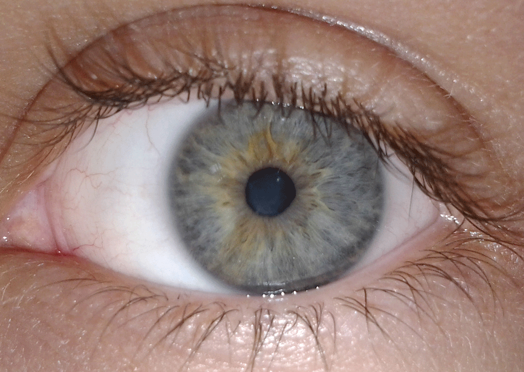 A closeup of a human eye.