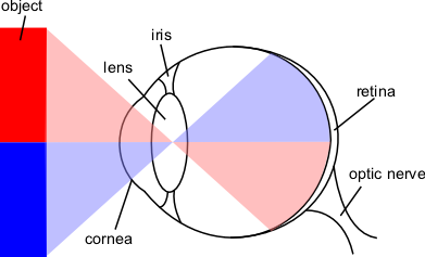 Eye Diagram https://commons.wikimedia.org/wiki/File:Eye-diagram.png