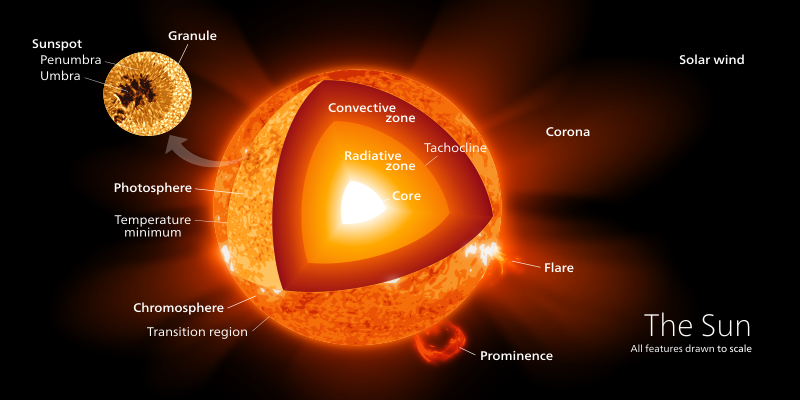 The Sun and its interior. https://commons.wikimedia.org/wiki/File:Sun_poster.svg