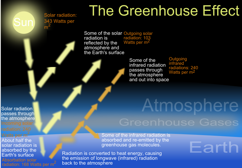 The Greenhouse Effect. https://commons.wikimedia.org/wiki/File:The_green_house_effect.svg