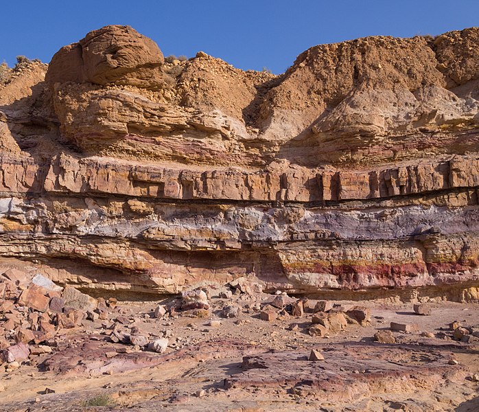 Sedimentary rocks form in layers as sediments accumulate on top of each other. https:/commons.wikimedia.org/wiki/File:Layers_of_sedimentary_rock_in_Makhtesh_Ramon_(50754).jpg; 