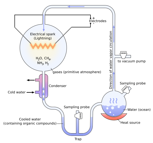 https://commons.wikimedia.org/wiki/File:Miller-Urey_experiment-en.svg