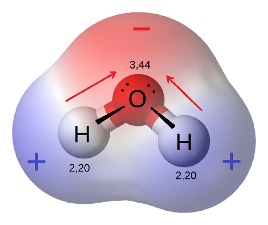 Water is a polar molecule. https://commons.wikimedia.org/wiki/File:Dipoli_acqua.png