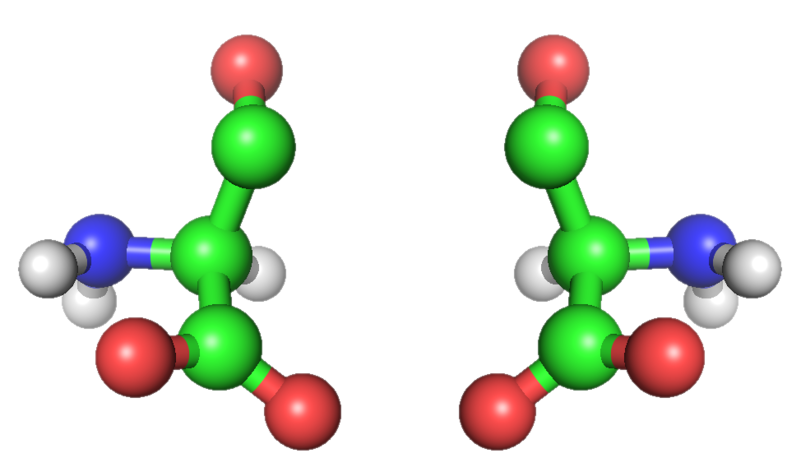 Left and right-handed molecules are mirror images of each other. https://commons.wikimedia.org/wiki/File:D-l-amino_acids.png