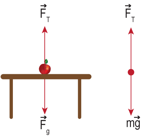 7.2: Force, Mass, and Weight - Physics LibreTexts