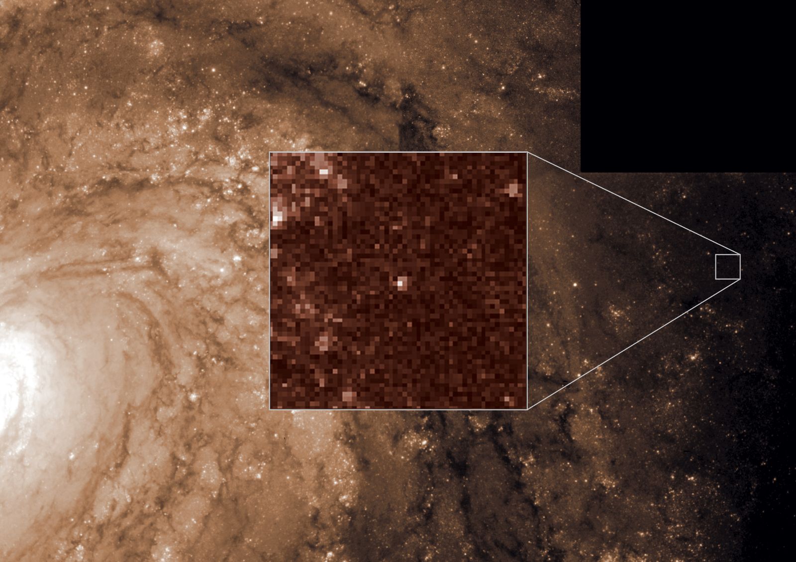 HST image of Cepheid stars.
