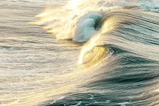 The Physics of Waves (Goergi)