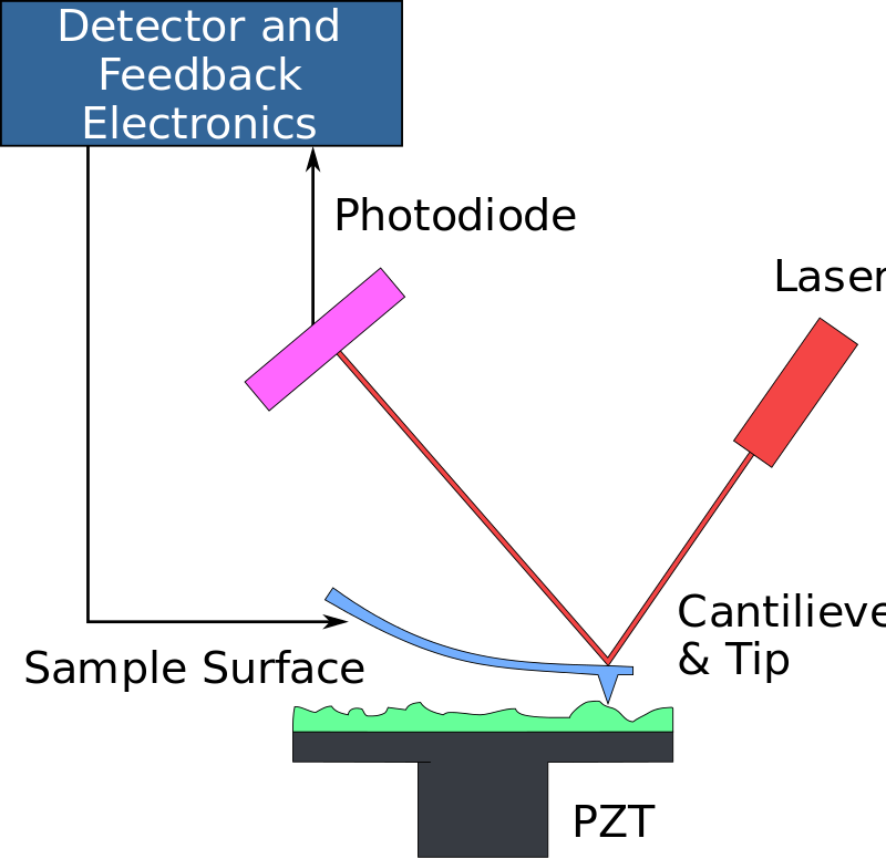800px-Atomic_force_microscope_block_diagram.svg.png