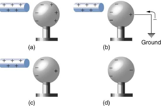  In part a, a rod with positive sign is brought near a neutral metal sphere. One surface toward the rod has negative signs and the other surface has positive signs. In part b, a rod with positive sign is close to one surface of the sphere having negative signs and the other surface has low number of positive signs and a wire is attached to that face which is connected to the ground. In part c, a rod with positive sign is close to one surface of the sphere having negative signs and the other surface has low number of positive signs. In part d, the positive rod is absent, and the sphere has negative signs on it.