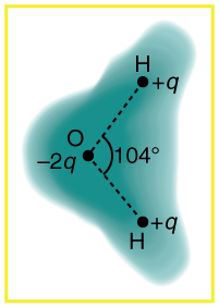 Uma representação esquemática da nuvem de elétrons externa de uma molécula de água neutra é mostrada. Três átomos são colocados nos vértices de um triângulo. O átomo de hidrogênio tem carga q positiva e o átomo de oxigênio tem menos dois q de carga, e o ângulo entre a linha que une cada átomo de hidrogênio ao átomo de oxigênio é de cento e quatro graus. A densidade da nuvem é mostrada mais no átomo de oxigênio.