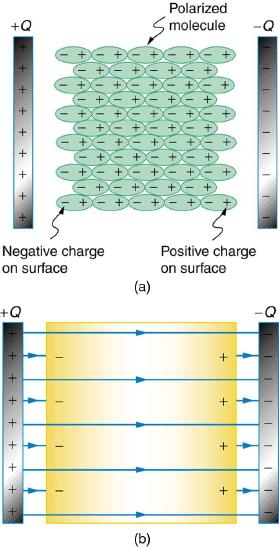 (a) A dielectric is between the two plates of a parallel plate capacitor. A diagram shows the molecules that make up the dielectric. The molecules are polarized by the charged plates. The positive ends of the molecules are attracted toward the negatively charged plate of the capacitor and hence are oriented toward the right. The negative ends of the molecules are attracted toward the positively charged plate of the capacitor and hence are oriented toward the left. (b) There is a dielectric material between the two plates of the capacitor. Since the charged ends of the molecules are oriented toward the capacitor plates, there is reduced field strength inside the capacitor, resulting in a smaller voltage between the plates for the same charge.