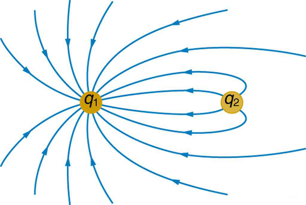 A figura mostra duas cargas próximas, uma e duas. As linhas do campo elétrico se afastam de um dois e em direção a um.