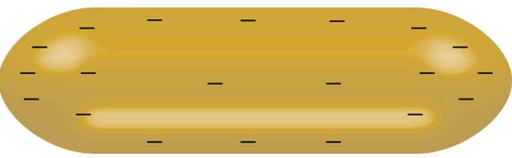 A figura mostra um condutor carregado negativamente com a forma de um oblongo.