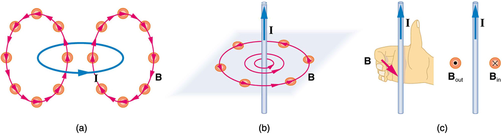 Figure a: magnetic field of a circular current loop with a current moving counter-clockwise. The field lines are also roughly circular, running up through the center of the current loop, and back down outside the loop. Figure b: a straight wire with a current running straight up. The magnetic field lines circle the wire in a counter-clockwise direction. Figure c: a right hand with the thumb pointing up, parallel to a wire with the current running upward. The figures of the hand curl around the wire in the counter-clockwise direction to show the direction of the magnetic field when current is up. The symbol to represent magnetic field lines running out of the surface and toward the viewer—B out—is a circle with a sold circle inside. The symbol to represent magnetic field lines running into the surface and away from the viewer—B in—is represented with a circle with an x inside it. When the current is running straight up, B out is to the left and B in is to the right.