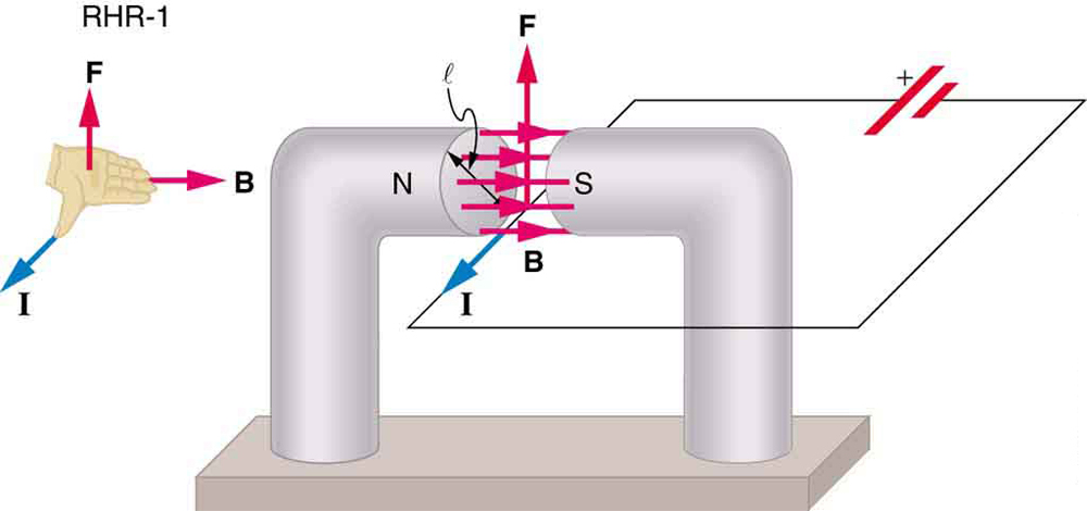 Um diagrama mostrando um circuito com a corrente I passando por ele. Uma seção do fio passa entre os pólos norte e sul de um ímã com diâmetro l. O campo magnético B é orientado para a direita, do pólo norte ao sul do ímã, através do fio. A corrente sai da página. A força no fio é direcionada para cima. Uma ilustração da regra 1 da mão direita mostra o polegar apontando para fora da página na direção da corrente, os dedos apontando para a direita na direção de B e o vetor F apontando para cima e para longe da palma da mão.