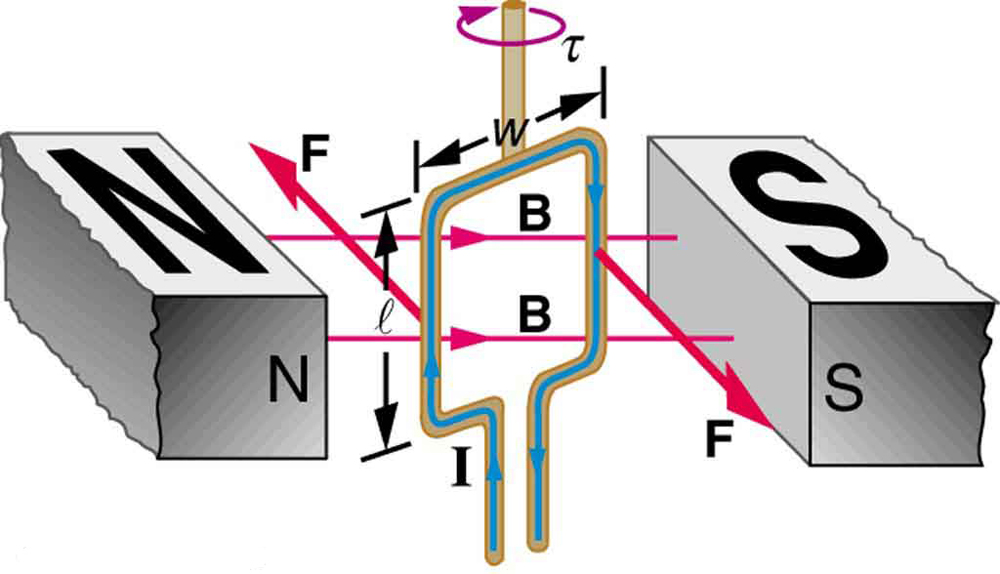 Diagrama mostrando um circuito transportador de corrente de largura w e comprimento l entre os pólos norte e sul de um ímã. O pólo norte está à esquerda e o pólo sul está à direita do circuito. O campo magnético B vai do pólo norte através do circuito até o pólo sul. O loop é mostrado em um instante, enquanto gira no sentido horário. A corrente sobe pelo lado esquerdo do circuito, atravessa a parte superior e desce pelo lado direito. Há uma força F orientada na página no lado esquerdo do loop e uma força F orientada para fora da página no lado direito do loop. O torque no circuito é no sentido horário, conforme visto de cima.