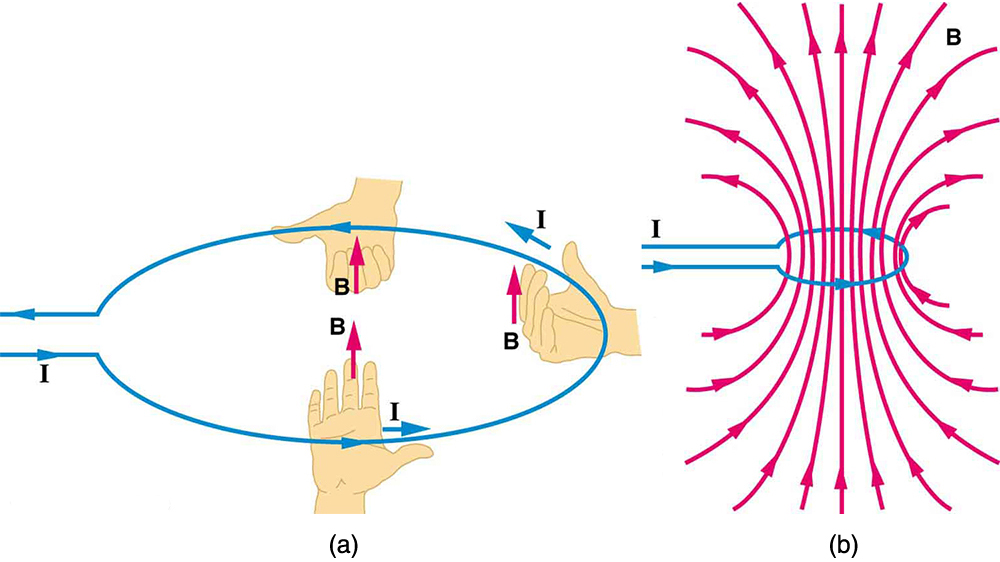 A Figura a ilustra o uso da regra 2 da mão direita para determinar a direção do campo magnético em torno de um circuito transportador de corrente. O polegar direito aponta na direção de I enquanto os dedos se curvam na direção de B. A Figura b mostra as linhas do campo magnético circulando o fio, vistas de lado.