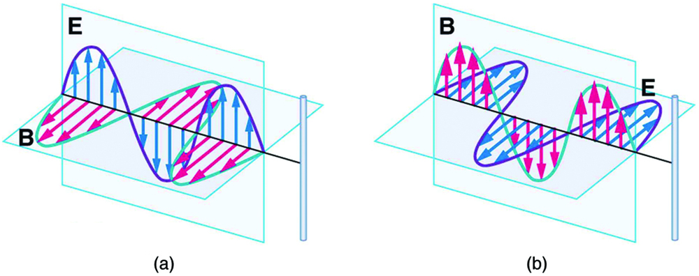 A parte a do diagrama mostra uma onda eletromagnética se aproximando de um fio vertical longo e reto. A onda é mostrada com a variação de dois componentes E e B. E é uma onda senoidal no plano vertical com pequenas setas mostrando as vibrações das partículas no plano. B é uma onda senoidal em um plano horizontal perpendicular à onda E. A onda B tem setas para mostrar as vibrações das partículas no plano. As ondas são mostradas se cruzando na junção dos planos porque E e B são perpendiculares entre si. A direção de propagação da onda é mostrada perpendicularmente às ondas E e B. A parte b do diagrama mostra uma onda eletromagnética se aproximando de um fio vertical longo e reto. A onda é mostrada com a variação de dois componentes E e B. E é uma onda senoidal no plano horizontal com pequenas setas mostrando as vibrações das partículas no plano. B é uma onda senoidal em um plano vertical perpendicular à onda E. A onda B tem setas para mostrar as vibrações das partículas no plano. As ondas são mostradas se cruzando na junção dos planos porque E e B são perpendiculares entre si. A direção de propagação da onda é mostrada perpendicularmente às ondas E e B.