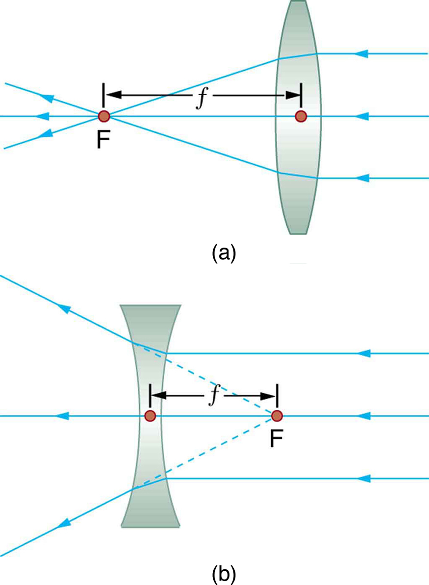 A Figura (a) mostra três raios paralelos incidentes no lado direito de uma lente convexa; após a refração, eles convergem em F no lado esquerdo da lente. A distância do centro da lente até F é pequena f. A Figura (b) mostra três raios paralelos incidentes no lado direito de uma lente côncava; após a refração, eles parecem ter vindo de F no lado direito da lente. A distância do centro da lente até F é pequena f.