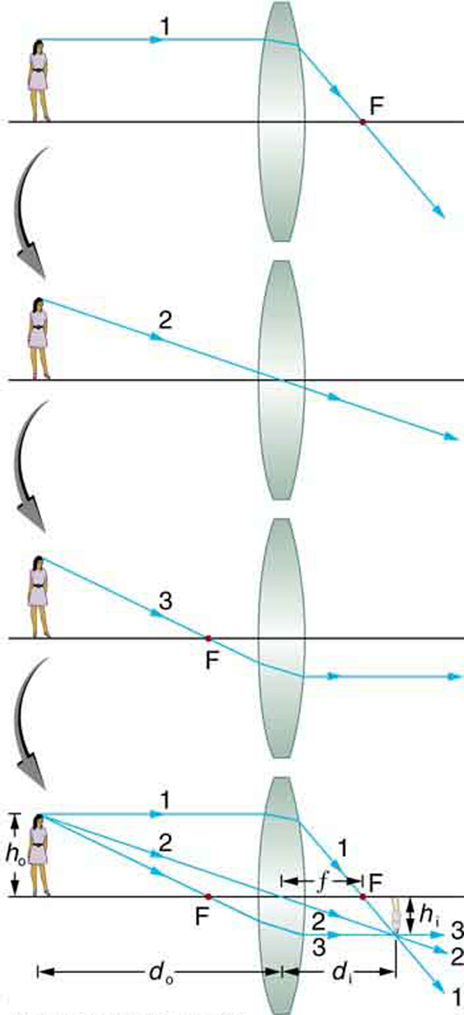 A primeira das quatro imagens mostra um raio incidente 1 vindo de um objeto (uma garota) colocado no eixo. Após a refração, o raio passa por F no outro lado da lente. A segunda das quatro imagens mostra um raio incidente 2 passando pelo centro sem nenhum desvio. A terceira das quatro imagens mostra um raio incidente passando por F, que após a refração fica paralelo ao eixo. A quarta imagem mostra uma combinação dos três raios, 1, 2 e 3, incidentes em uma lente convexa; após a refração, eles convergem ou se cruzam em um ponto abaixo do eixo a alguma distância de F. Aqui, a altura do objeto h sub o é a altura da garota acima do eixo e h sub i é a altura da imagem abaixo do eixo. A distância do centro até o ponto F é pequena f. A distância do centro até a garota é d sub o e a da imagem é d sub i.