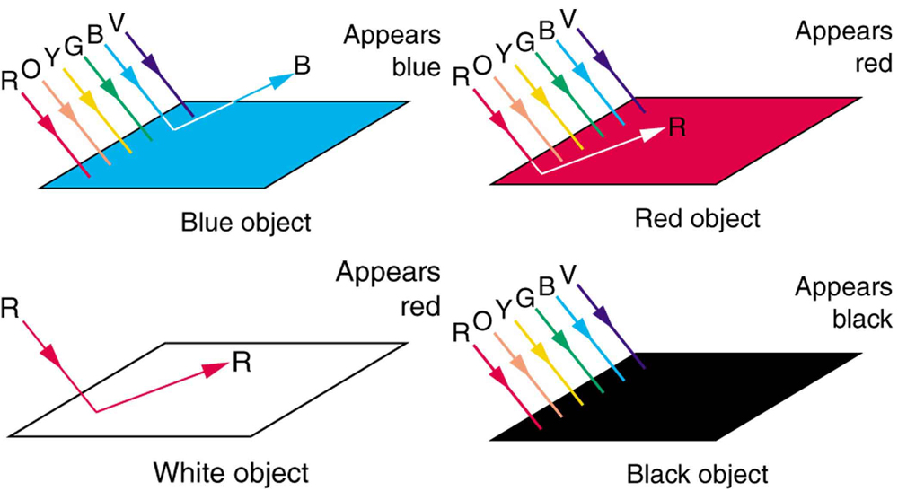Quatro estruturas retangulares planas, denominadas objeto azul, objeto vermelho, objeto preto e objeto branco são mostradas. Os objetos vermelhos, azuis e pretos são iluminados pela luz branca mostrada por seis raios de vermelho, laranja, amarelo, verde, azul e violeta. O retângulo azul está emitindo um raio azul e parece azul. O retângulo vermelho está emitindo um raio vermelho e aparece vermelho, enquanto o retângulo preto absorveu todas as cores e parece preto. O retângulo branco é iluminado somente pela luz vermelha e emite raios vermelhos, mas parece branco.
