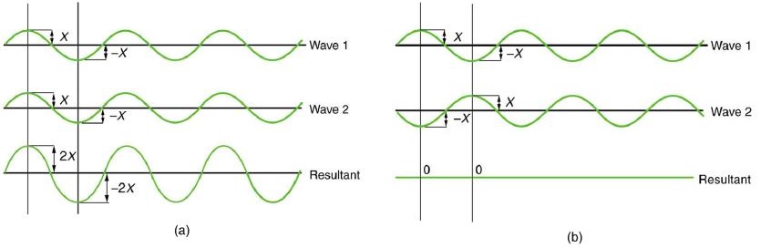 A Figura a mostra três ondas senoidais com o mesmo comprimento de onda dispostas uma acima da outra. Os picos e baixos de cada onda estão alinhados com os das outras ondas. As duas ondas superiores são rotuladas como onda um e onda dois e a onda inferior é rotulada como resultante. A amplitude das ondas um e dois é rotulada como x e a amplitude da onda resultante é rotulada como dois x. A Figura b mostra uma situação semelhante, exceto que os picos da onda dois agora se alinham com os vales da onda um. A onda resultante agora é uma linha reta horizontal no eixo x; ou seja, a linha y é igual a zero.