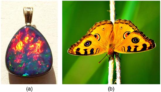 Colorful photos of an Australian opal and a butterfly. The opal is full of fiery reds and yellows and deep blues and purples. The butterfly has its yellow wings spread and you can see its characteristic red, blue, and black spots and fringing.