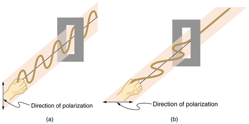 A figura mostra ondas em uma corda oscilante vertical que passam por uma fenda vertical. Um desenho separado mostra ondas em uma corda que oscila horizontalmente que não passam por uma fenda similar.