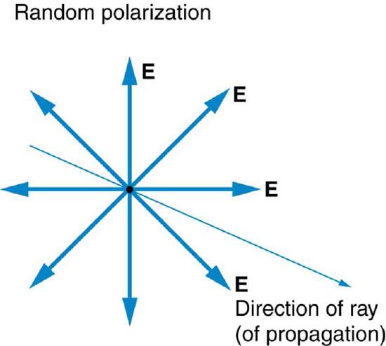 The figure shows a slender arrow pointing out of the page and to the right; it is labeled direction of ray (of propagation). At a point on this ray, eight bold arrows point in different directions, perpendicularly away from the ray. These arrows are labeled E.