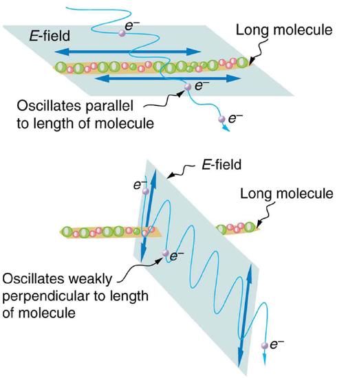 The figure contains two schematics. The first schematic shows a long molecule. An EM wave goes through the molecule. The ray of the EM wave is at ninety degrees to the molecular axis and the electric field of the EM wave oscillates along the molecular axis. After passing the long molecule, the magnitude of the oscillations of the EM wave are significantly reduced. The second schematic shows a similar drawing, except that the EM wave oscillates perpendicular to the axis of the long molecule. After passing the long molecule, the magnitude of the oscillation of the EM wave is unchanged.