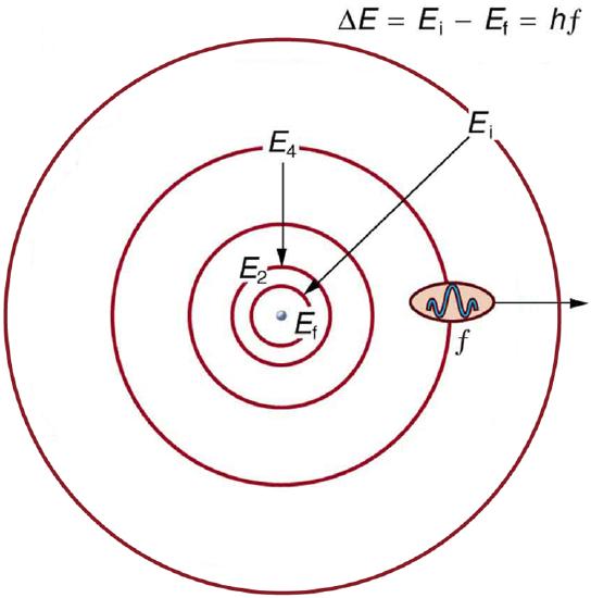 The orbits of Bohr’s planetary model of an atom; five concentric circles are shown. The radii of the circles increase from innermost to outermost circles. On the circles, labels E sub one, E sub two, up to E sub i are marked.