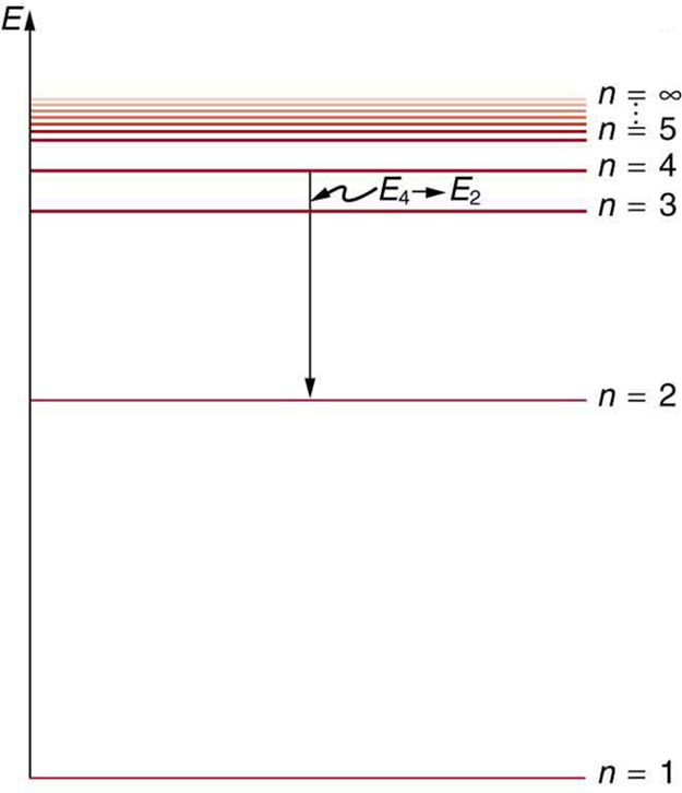 O diagrama do nível de energia é mostrado. Várias linhas horizontais são mostradas. As linhas são rotuladas de baixo para cima, pois n é igual a um, n é igual a dois e assim por diante até n é igual a infinito; os níveis de energia aumentam de baixo para cima. A distância entre as linhas diminui da linha inferior para a linha superior. Uma seta vertical mostra um elétron fazendo a transição de n igual a quatro para n igual a dois.