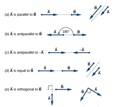Figure a: Two examples of vector A parallel to vector B. In one, A and B are on the same line, one after the other, but A is longer than B. In the other, A and B are parallel to each other with their tails aligned, but A is shorter than B. Figure b: An example of vector A antiparallel to vector B. Vector A points to the left and is longer than vector B, which points to the right. The angle between them is 180 degrees. Figure c: An example of vector A antiparallel to minus vector A: A points to the right and –A points to the left. Both are the same length. Figure d: Two examples of vector A equal to vector B: In one, A and B are on the same line, one after the other, and both are the same length. In the other, A and B are parallel to each other with their tails aligned, and both are the same length. Figure e: Two examples of vector A orthogonal to vector B: In one, A points down and B points to the right, meeting at a right angle, and both are the same length. In the other, points down and to the right and B points down and to the left, meeting A at a right angle. Both are the same length.