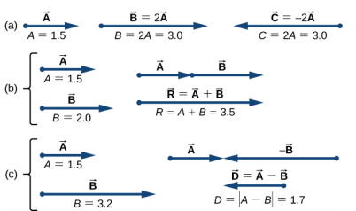 A Figura a mostra o vetor A apontando para a direita. Tem magnitude A=1,5. O vetor B=2 o vetor temporal A aponta para a direita e tem magnitude B = 2 A = 3,0. Vetor C = -2 vezes o vetor A e tem magnitude B = 2,0. A Figura b mostra que o vetor A aponta para a direita e tem magnitude A=1,5. O vetor B é mostrado abaixo do vetor A, com suas caudas alinhadas. O vetor B aponta para a direita e tem magnitude 2,0. Em outra visualização, o vetor A é mostrado com o vetor B começando na cabeça de A e se estendendo ainda mais à direita. Abaixo deles está um vetor, rotulado como vetor R = vetor A mais vetor B, apontando para a direita cuja cauda está alinhada com a cauda do vetor A e cuja cabeça está alinhada com a cabeça do vetor B. A magnitude do vetor R é igual à magnitude A mais magnitude B = 3,5. A Figura c mostra que o vetor A aponta para a direita e tem magnitude A=1,5. O vetor B é mostrado abaixo do vetor A, com suas caudas alinhadas. O vetor menos B aponta para a direita e tem magnitude 3,2. Em outra visualização, o vetor A é mostrado com o vetor menos B apontando para a esquerda e com a cabeça encontrando a cabeça do vetor A. Abaixo deles está um vetor, rotulado como vetor D = vetor A menos vetor B, menor que B e apontando para a esquerda, cuja cabeça está alinhada com a cabeça do vetor B. A magnitude do vetor D é igual à magnitude da quantidade A menos B = 1,7.