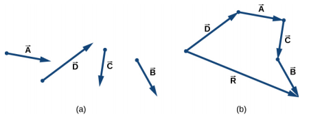 In figure a, four vectors, labeled A, B, C, and D are shown individually. In figure b, the vectors are shown arranged head to tail: Vector A’s tail is at the head of D. Vector C’s tail is at the head of A. And vector B’s tail is at the head of C. Each vector is pointing in the same direction as it is in figure a. A fifth vector, R, starts at the tail of vector D and ends at the head of vector B.
