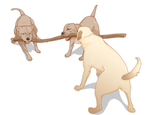Three dogs pull on a stick.