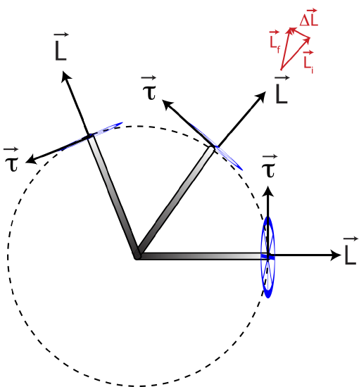 wheel-precession-top.png
