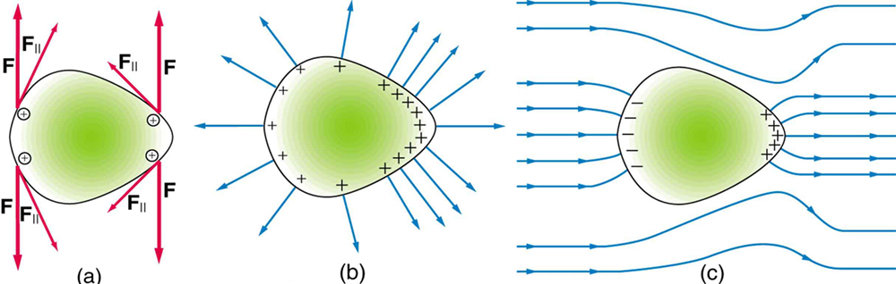 fig-ch01_patchfile_01.jpg