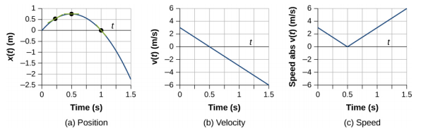 Graph A shows position in meters plotted versus time in seconds. It starts at the origin, reaches maximum at 0.5 seconds, and then start to decrease crossing x axis at 1 second. Graph B shows velocity in meters per second plotted as a function of time at seconds. Velocity linearly decreases from the left to the right. Graph C shows absolute velocity in meters per second plotted as a function of time at seconds. Graph has a V-leeter shape. Velocity decreases till 0.5 seconds; then it starts to increase.