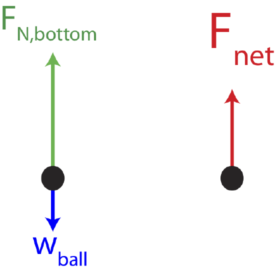 Circular-scale-FBD-bottom.png