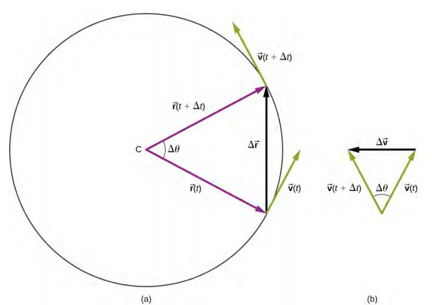 La figure a montre un cercle dont le centre est situé au point C. On y voit le rayon r de t et le rayon r de t, qui sont séparés par un angle Delta thêta, et la longueur de corde delta r reliant les extrémités des deux rayons. Les vecteurs r de t, r de t plus delta t et delta r forment un triangle. À l'extrémité du vecteur r de t, la vitesse est représentée par v de t et pointe vers le haut et vers la droite, tangente au cercle. À la pointe du vecteur r de t plus delta t, la vitesse est représentée par v de t plus delta t et pointe vers le haut et vers la gauche, tangente au cercle. La figure b montre les vecteurs v de t et v de t plus delta t avec leurs queues jointes, et le vecteur delta v de la pointe de v à la pointe de v de t plus delta t. Ces trois vecteurs forment un triangle. L'angle entre le v de t et le v de t plus le delta t est thêta.