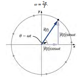 Un rayon de cercle r, centré sur l'origine d'un système de coordonnées x y est affiché. Le rayon r de t est un vecteur allant de l'origine à un point du cercle et fait un angle thêta égal à oméga t par rapport à l'horizontale. La composante x du vecteur r est la magnitude de r de t fois le cosinus de l'oméga t. La composante y du vecteur r est la magnitude de r de t fois le sinus de l'oméga t. La circulation se fait dans le sens antihoraire autour du cercle.