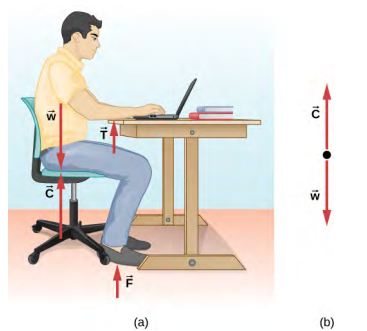 Figure a shows a person sitting on a chair with his forearms resting on a table. Force C in the upward direction and W in the downward direction, both having equal magnitude, act along the line of his torso. Force T is in the upward direction near the person’s forearms. Force F is in the upward direction near the person’s feet. Figure b shows the free body-diagram of C and W.