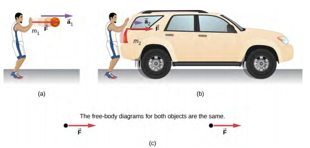 Figure a shows a person exerting force F on a basketball with mass m1. The ball is shown to move to the rigth with an acceleration a1. Figure b shows the person exerting the same amount of force, F on an SUV with mass m2. The acceleration is a2, which is much smaller than a1. Figure c shows the free body diagrams of both systems shown in figure a and figure b. Both show the force F having the same magnitude and direction. The label reads: the free-body diagrams of both objects are the same.