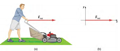 Figure a shows a person using a lawn mower on a lawn. Force F net points right, from the person’s hands. Figure b shows the force F net along the positive x axis.