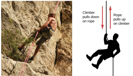 A fotografia de um alpinista é mostrada à esquerda. A figura de um alpinista é mostrada à direita. Uma flecha apontando para baixo é rotulada como alpinista puxa uma corda para baixo. Uma flecha apontando para cima é rotulada como corda puxada para cima no alpinista.